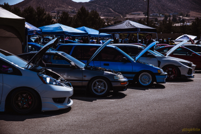 Honda Meet 2022 Civic(s)