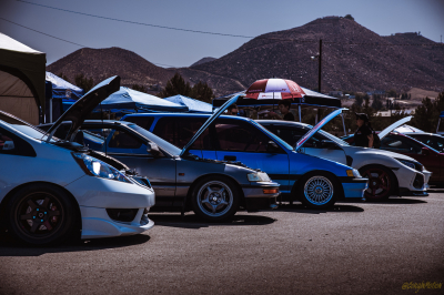 Honda Meet 2022 Civic(s)