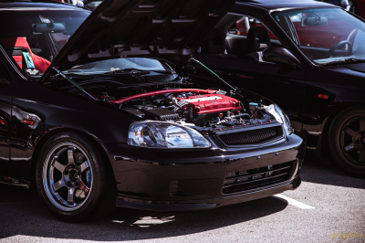 Honda Meet 2022 Civic(s)