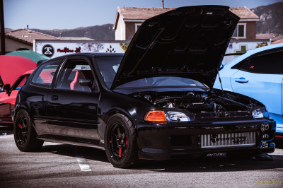 Honda Meet 2022 Civic(s)