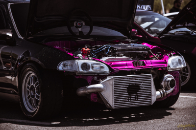 Honda Meet 2022 Civic(s)