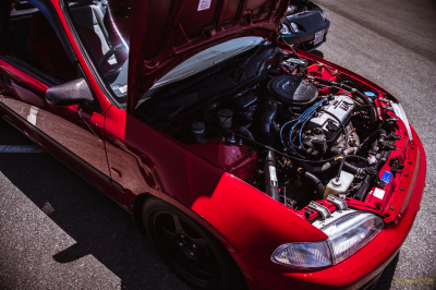 Honda Meet 2022 Civic(s)